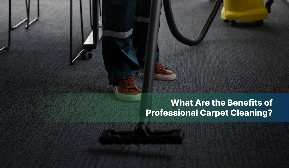 What Are the Benefits of Professional Carpet Cleaning?